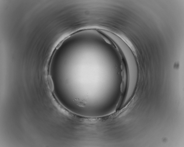 X0000096410813200802071653