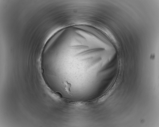 X0000096410814200802071653