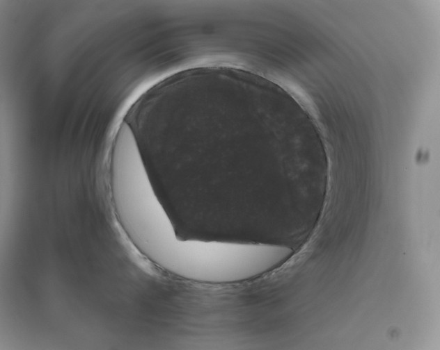 X0000096410816200802071653