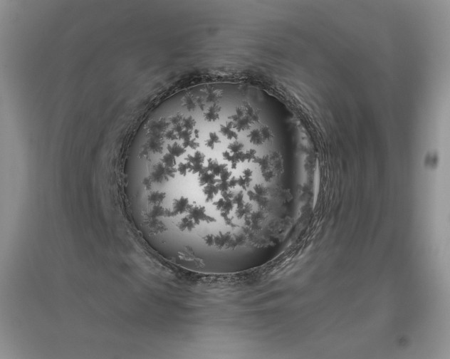 X0000096410817200802071652