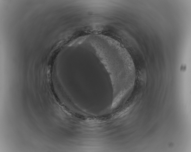 X0000096410818200802071652