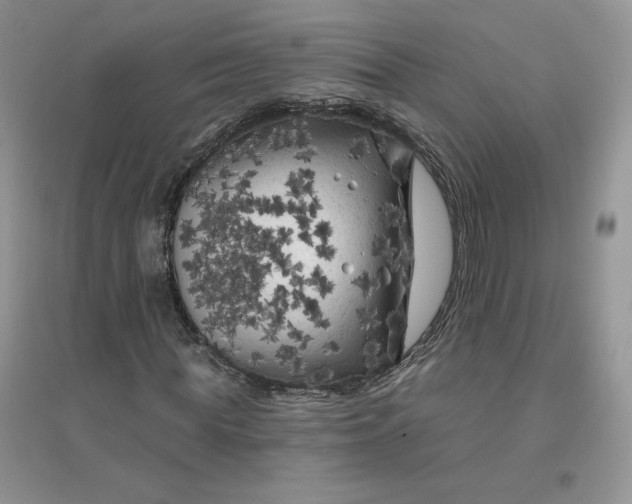 X0000096410819200802071652