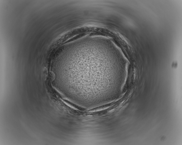X0000096410821200802071652