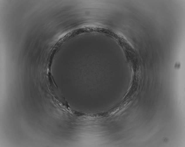 X0000096410822200802071652