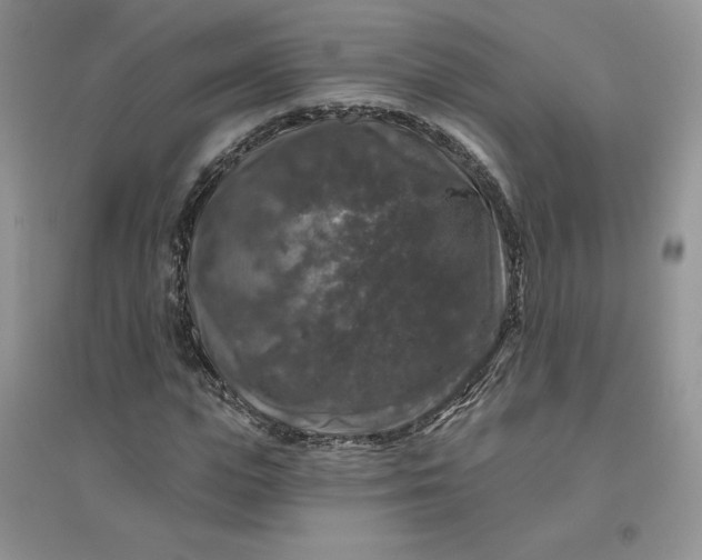 X0000096410823200802071652