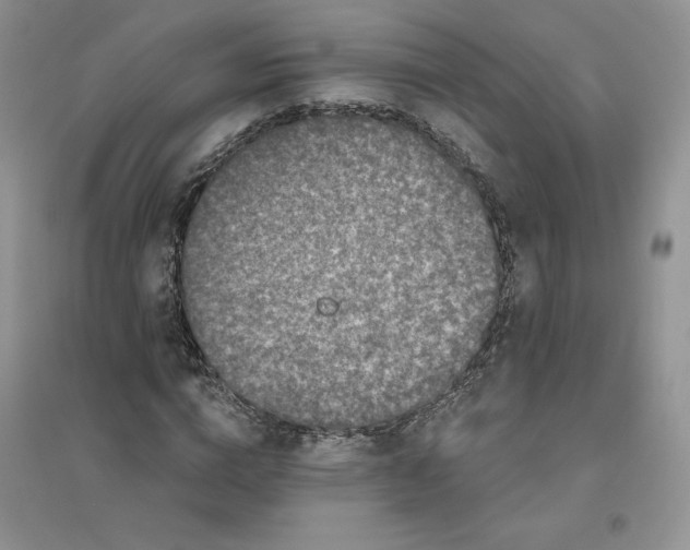 X0000096410824200802071653