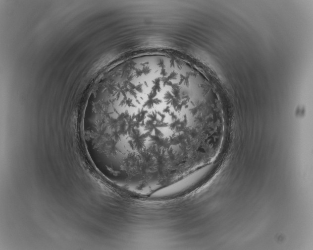 X0000096410825200802071653