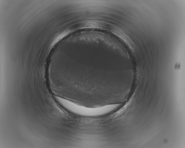 X0000096410826200802071653