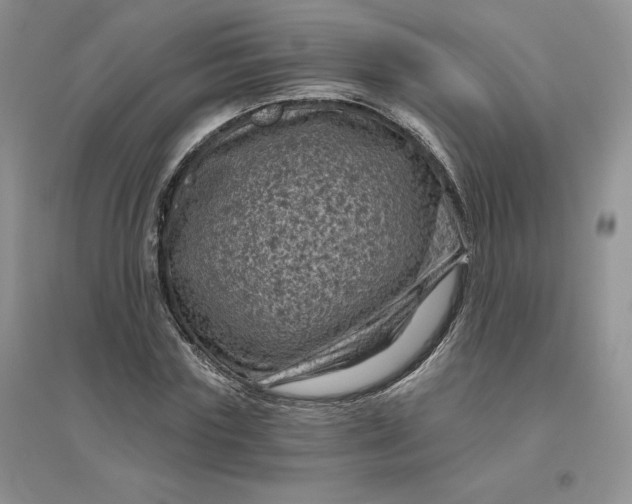 X0000096410827200802071653