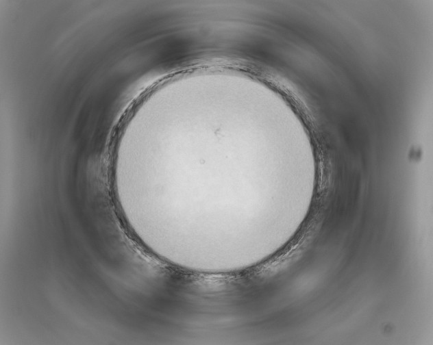 X0000096410828200802071653