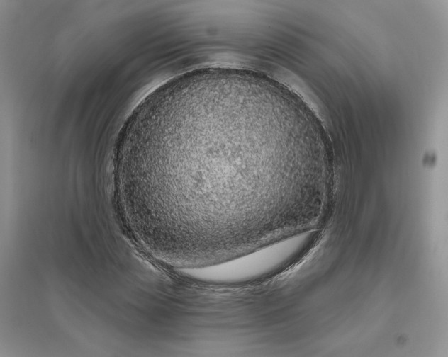 X0000096410829200802071653