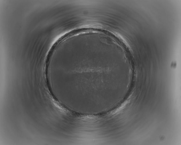 X0000096410830200802071653