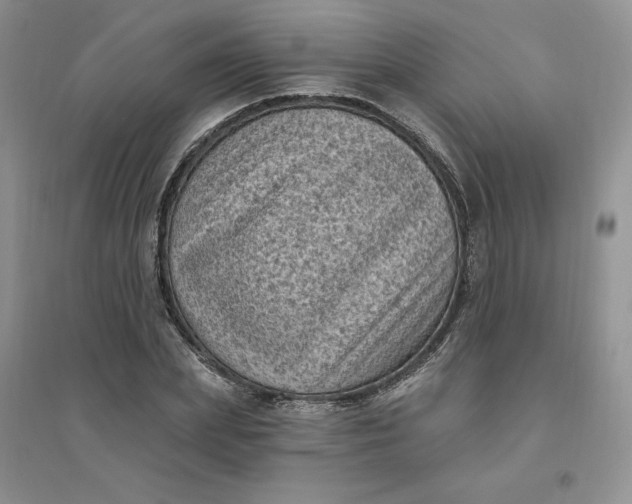 X0000096410831200802071653