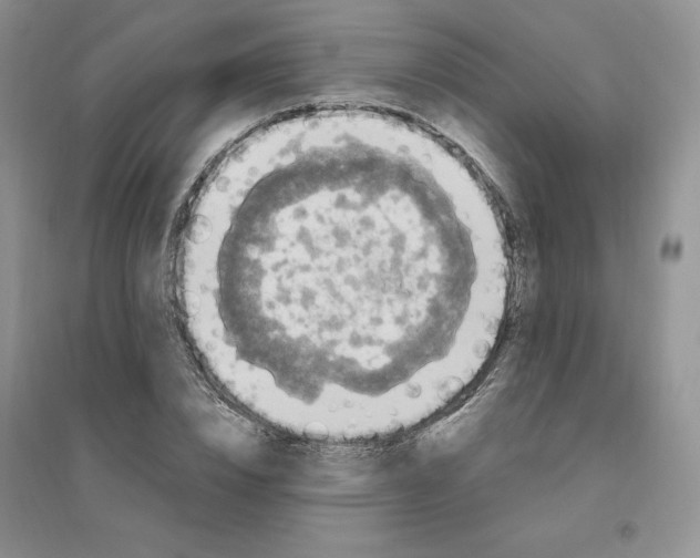X0000096410832200802071653