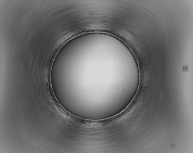 X0000096410833200802071653