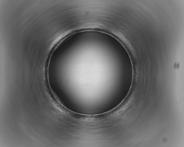X0000096410834200802071653