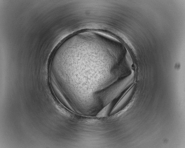 X0000096410837200802071653