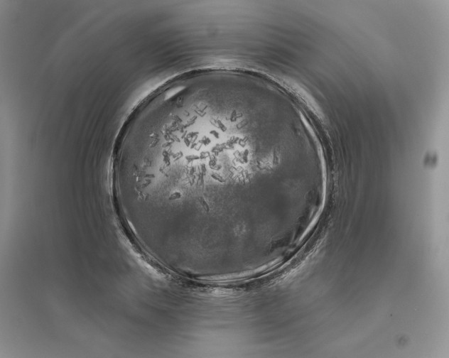 X0000096410839200802071653