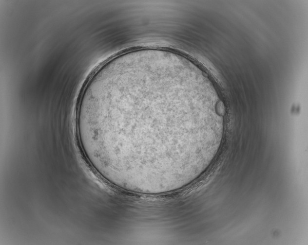 X0000096410840200802071653