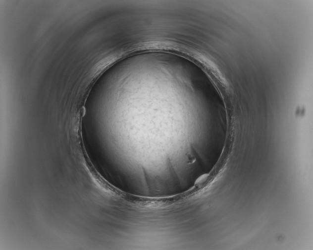 X0000096410841200802071653