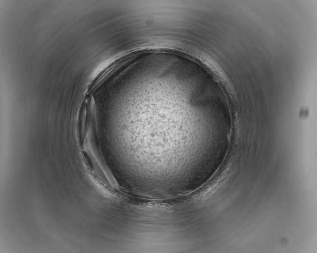 X0000096410842200802071653