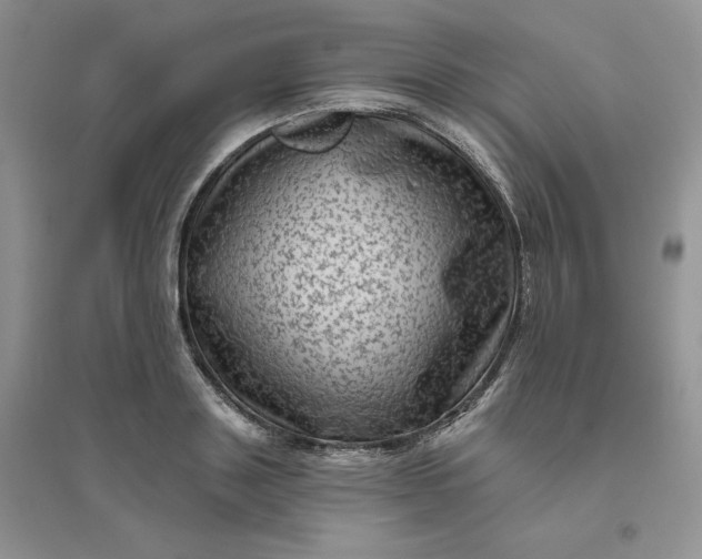 X0000096410843200802071653