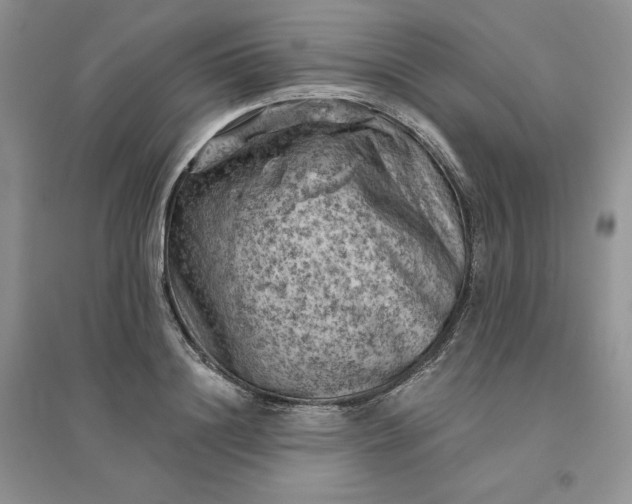 X0000096410844200802071653