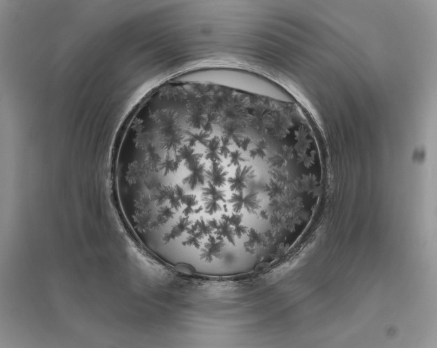 X0000096410845200802071653
