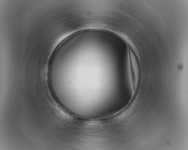 X0000096410846200802071653