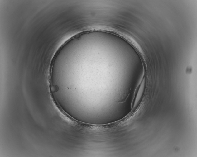 X0000096410847200802071653