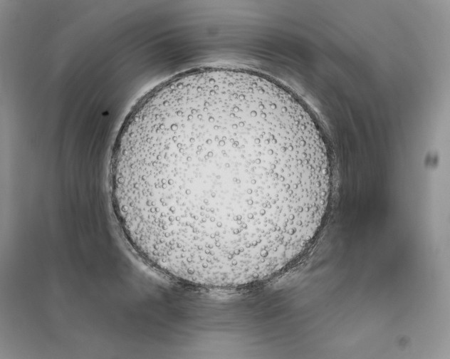 X0000096410848200802071653