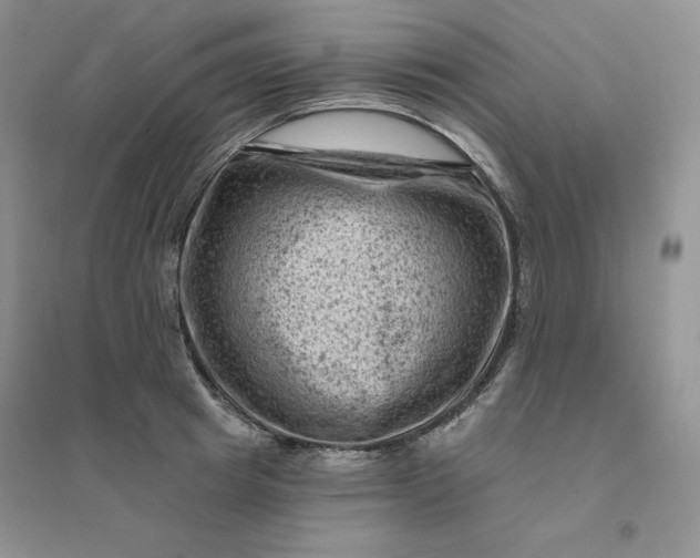 X0000096410849200802071653