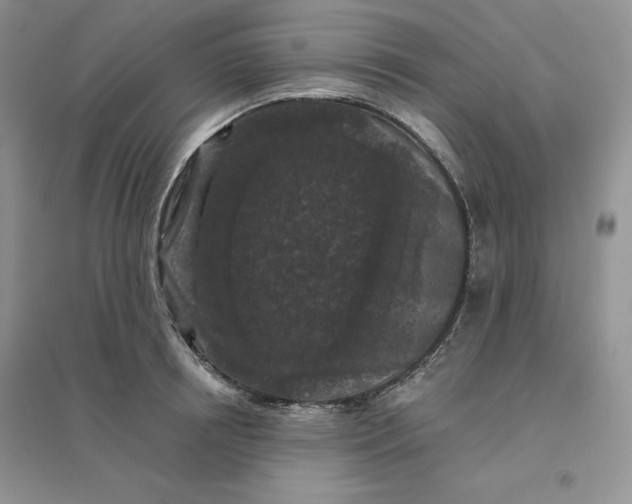 X0000096410850200802071653