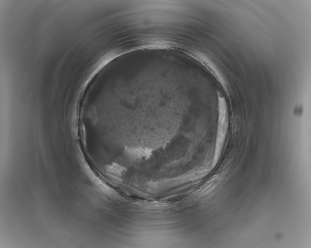 X0000096410851200802071653