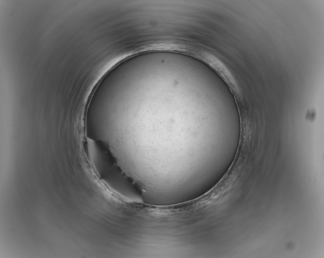 X0000096410852200802071653
