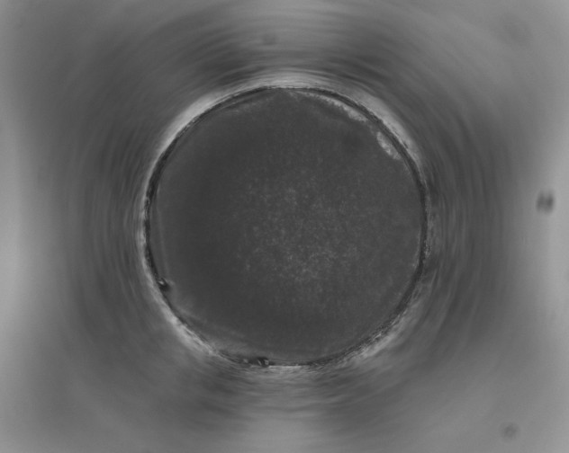 X0000096410853200802071653