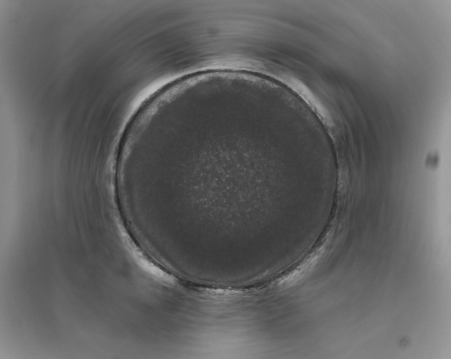 X0000096410854200802071653