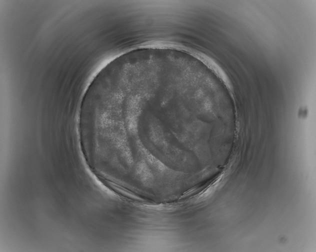 X0000096410855200802071653