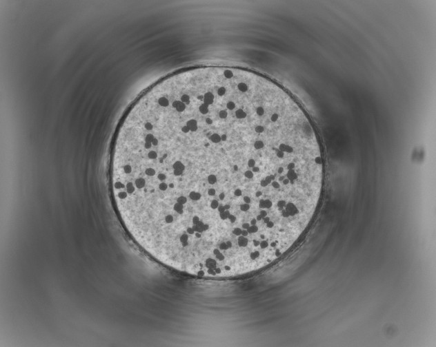 X0000096410856200802071653