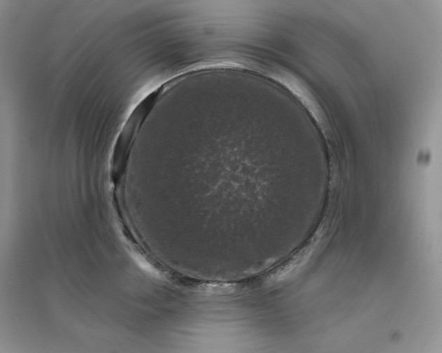 X0000096410858200802071653