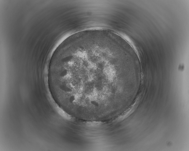 X0000096410859200802071653