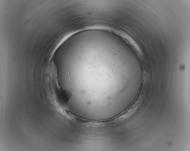 X0000096410860200802071653