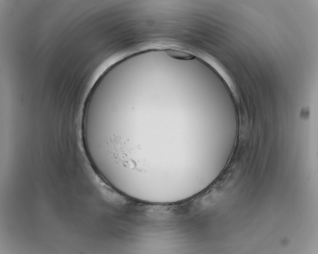 X0000096410861200802071653