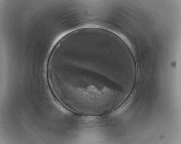 X0000096410862200802071653