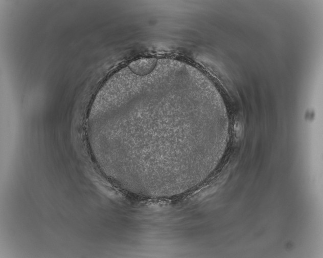 X0000096410865200802071652