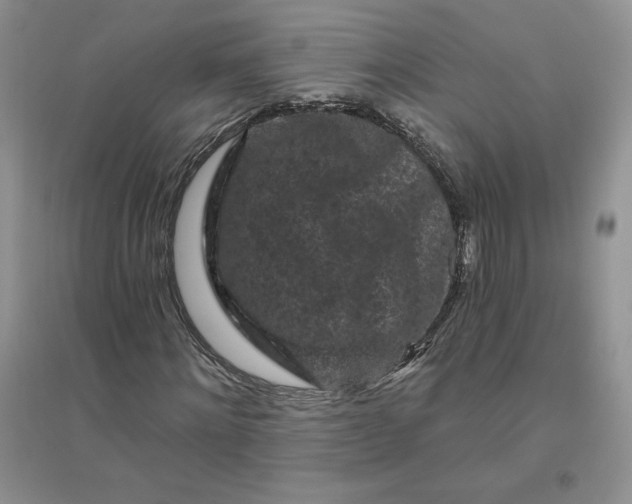 X0000096410868200802071652