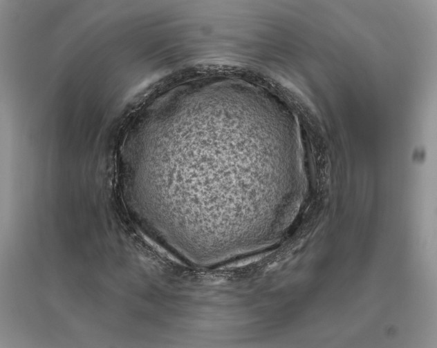 X0000096410870200802071652