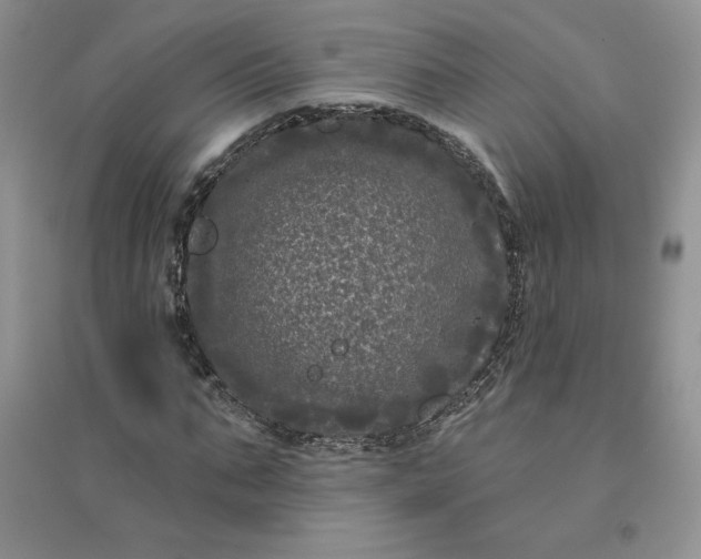 X0000096410871200802071652