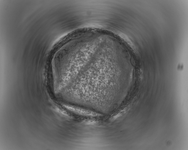X0000096410872200802071652