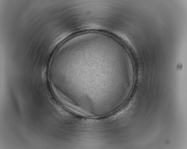 X0000096410873200802071652